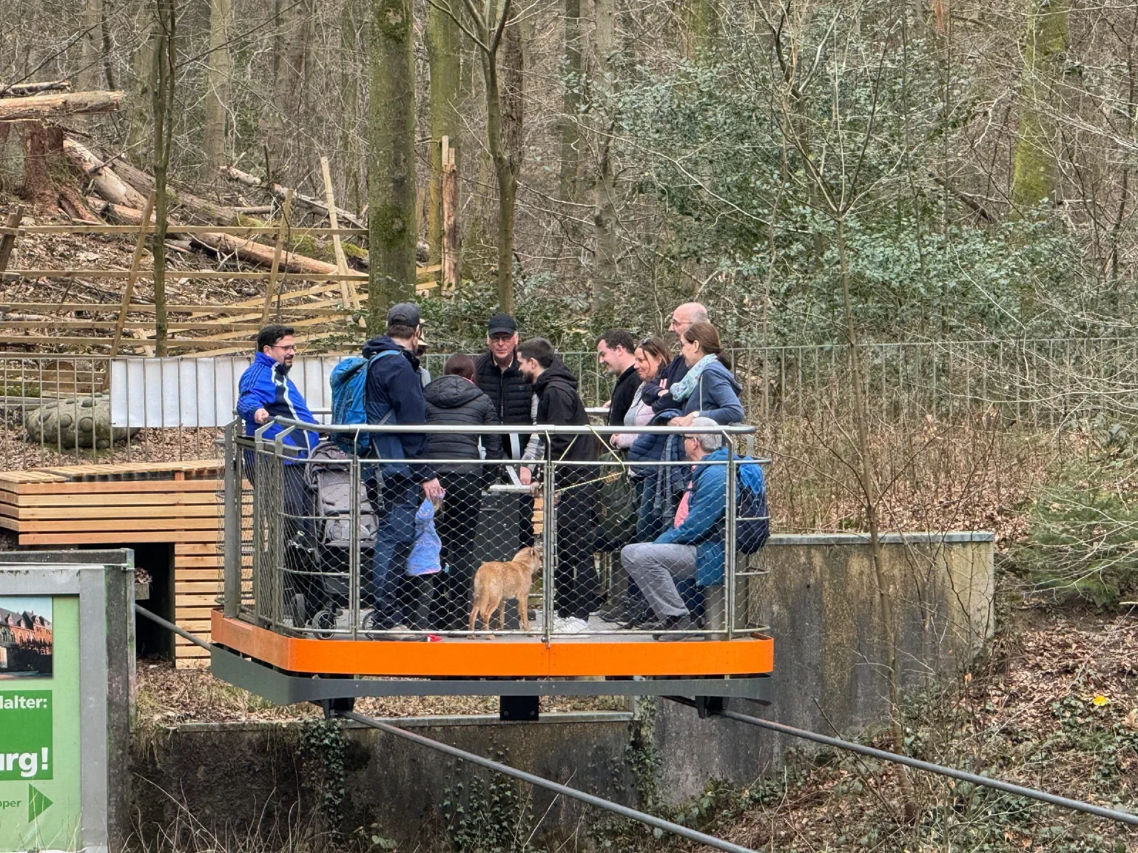Eine Gruppe steht auf einer Plattform mit Geländer im Wald